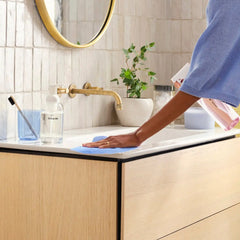 Cleaning Companions