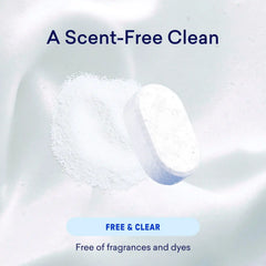 Dish Essentials Kit